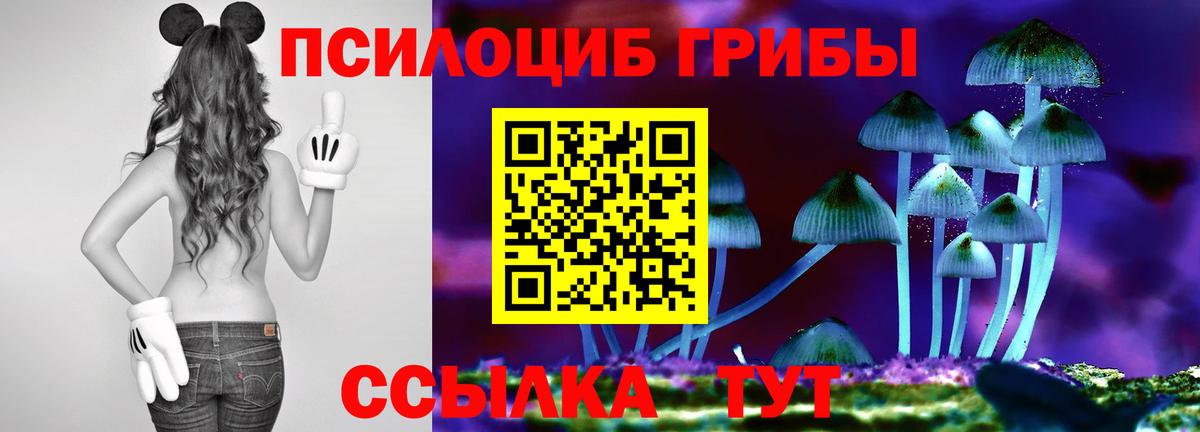 Галлюциногенные грибы Psilocybe  Вход с VPN  Павлово 