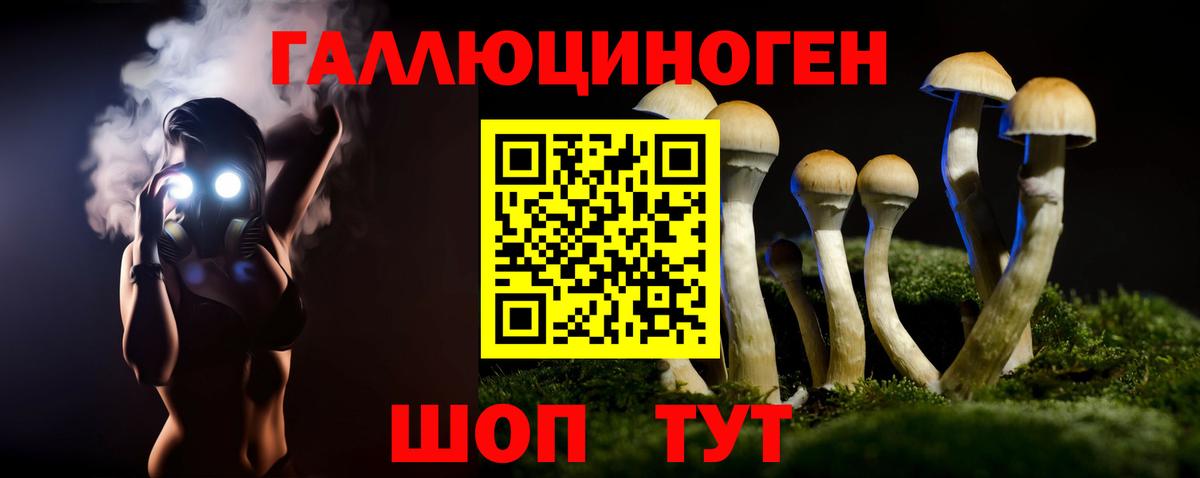 Псилоцибиновые грибы MAGIC MUSHROOMS Павлово
